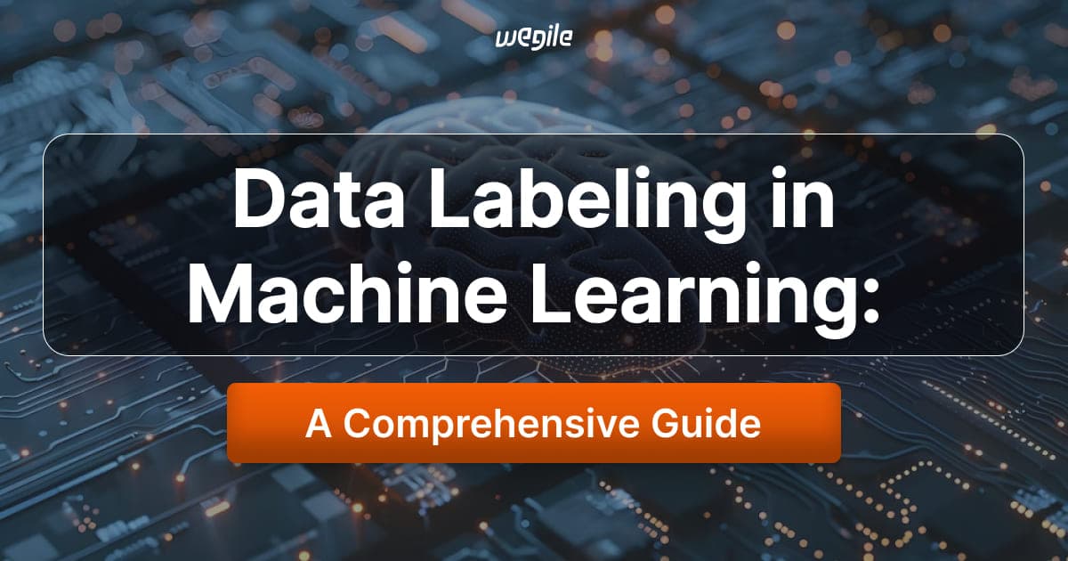 Data Labeling in Machine Learning: A Comprehensive Guide